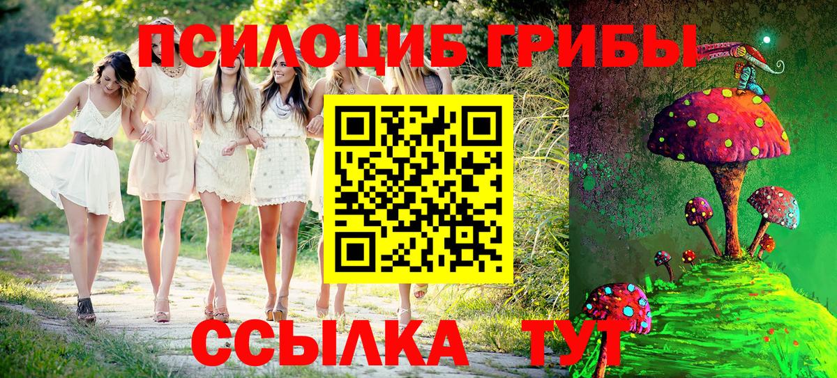 Псилоцибиновые грибы мухоморы  Галлюциногенные грибы прущие грибы  Вход с VPN  Киселёвск 