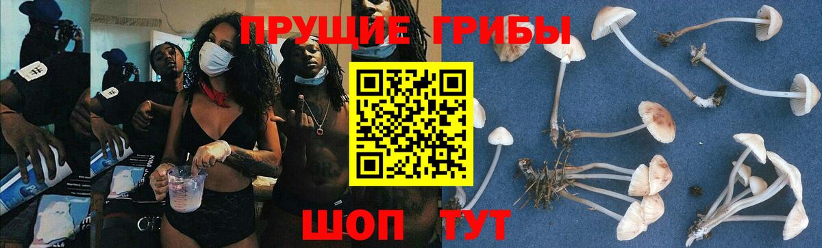 Галлюциногенные грибы прущие грибы Киселёвск