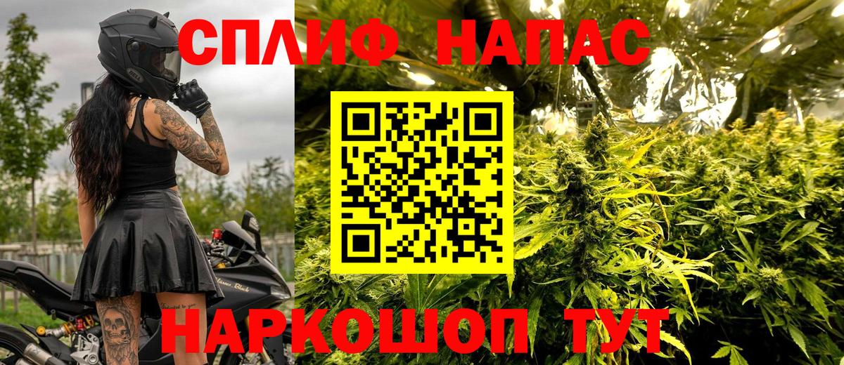 Бошки Шишки план  Бошки Шишки планчик  Марихуана AK-47  Вход с VPN  Киселёвск 
